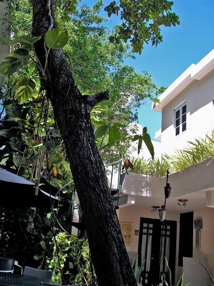 סן חואן Oceana Hostal Playero מראה חיצוני תמונה